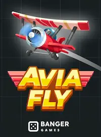 AviaFly crash game at 333BD COM