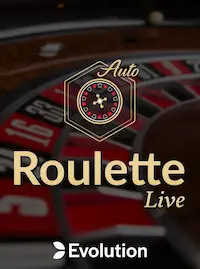 Roulette Live at 333BD COM